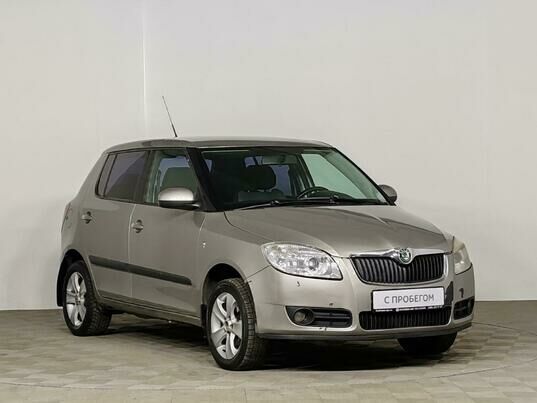 Skoda Fabia, 2009 г., 261 124 км