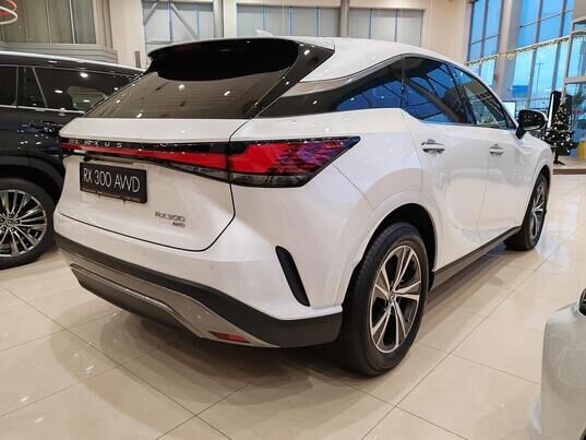 Lexus RX Enjoy